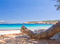 cala bassa